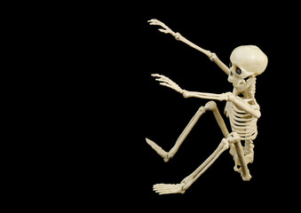 Sitting skeleton isolated on black background.