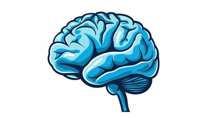 Detailed brain illustration highlighting human anatomy, perfect for neuroscience and neurobiology studies or educational resources.