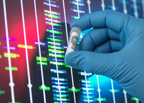 Senior scientist analyzing DNA profile on computer screen at lab