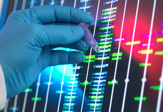 Senior scientist analyzing DNA profile on computer screen at lab