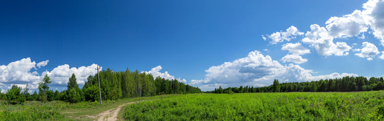 Summer panorama landscape with blue sky in soft white clouds over green field of grass. Beautiful natural countryside. Nature rural scene with copy space for design