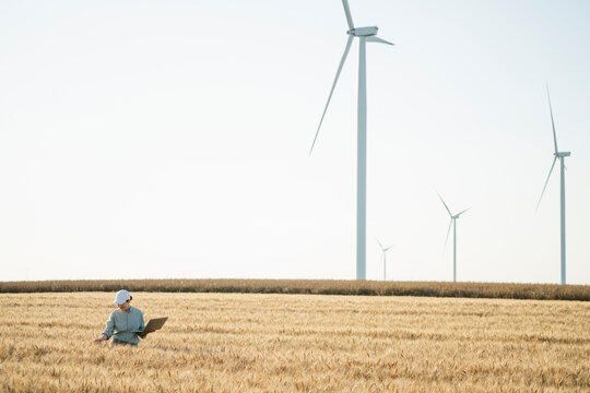 Farmer examining wheat crops with wind turbines in background