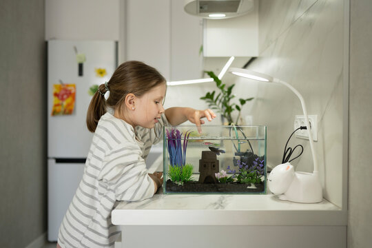 Curious girl playing with fish in glass tank at home