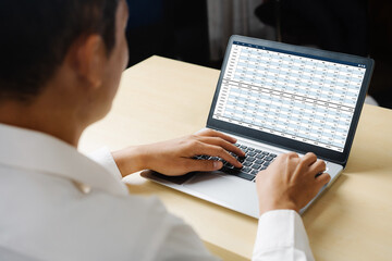 Accounting software on computer screen showing financial statement spreadsheets and account balance of corporate business offer accountant a fine calculation accounting snugly