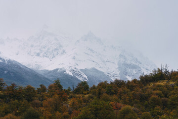 A mountain range covered in snow and trees. The sky is cloudy and the mountains are covered in snow