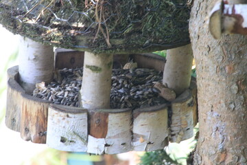Futterhaus 