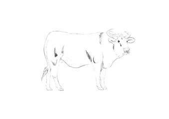 animal, mammal, silhouette, vector, wild, illustration, dog, wildlife, animals, farm, nature, black, bull, outline, rhinoceros, icon, rhino, bear, sheep, cow, logo, drawing, wolf. milk