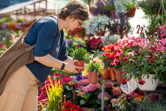 Mature woman choosing flower pot in garden center