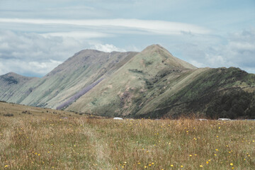 A picturesque view of rolling hills covered in green grass and scattered wildflowers, under a...