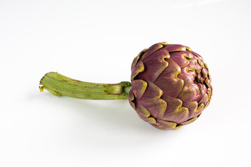 large purple fresh artichoke on white background