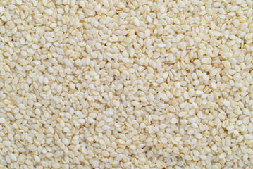 White sesame seeds texture background, Food ingredient