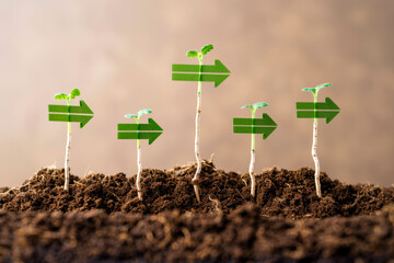 Plant roots intertwined with upward arrows, growing business concept, market expansion