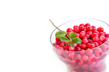 white background with organic cranberry
