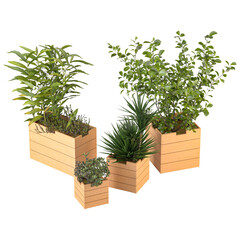 Plants in 3d rendering. Beautiful plant in 3d rendering isolated