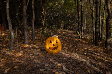 large orange pumpkin with a carved face lies alone in the forest on fallen autumn leaves....
