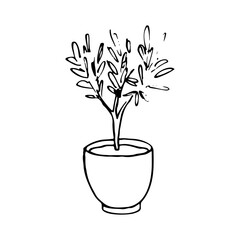 potted plant - hand drawn outline drawing