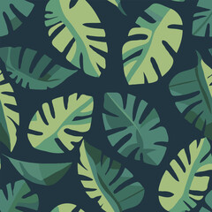 minimalist flat design of vector illustration of montserrat leaf