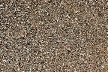 grains of sand on the beach
