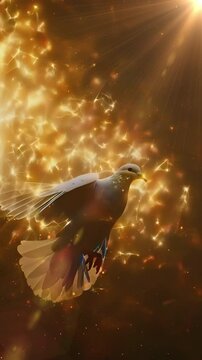 Video Vertical recreation of a white dove, as Holy Spirit, flying with the wings extended between flares of sunset