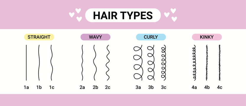 hair types beauty Classification. straight, wavy, curly, kinky. Scheme different types of hair. Curly girl method.