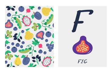 fruit alphabet letters. Cute letter F with fig. English alphabet for kids. fruit cartoon character. A double-sided card with a fruit pattern on the reverse side Educational flat vector illustration.