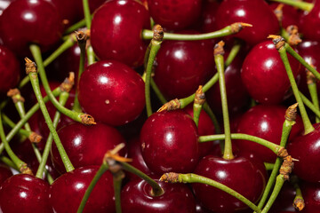 Close up of a bunch of bright red cherries shot from above
