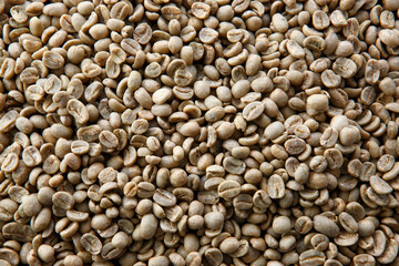 コーヒー豆　グァテマラ生豆