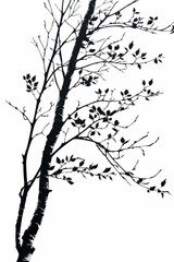 Obraz premium Black and white flat vector art of a birch tree branch, svg style, isolated on white background, simple vector art design 