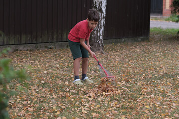 Young boy engaging in yard work, raking leaves with determination. Concept: Promoting the idea that...