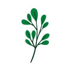 Botanical leaf doodle wildflower line art