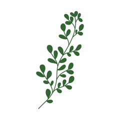 Botanical leaf doodle wildflower line art on white background