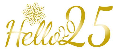 Hello 2025 hand drawn banner New year concept