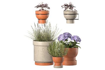 Plants in 3d rendering. Beautiful plant in 3d rendering isolated