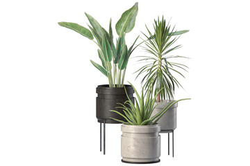 Plants in 3d rendering. Beautiful plant in 3d rendering isolated