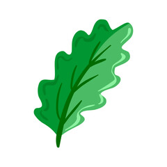 Botanical element Decorative branch Floral greenery on white