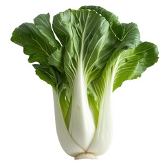 A whole, raw bok choy on transparent background