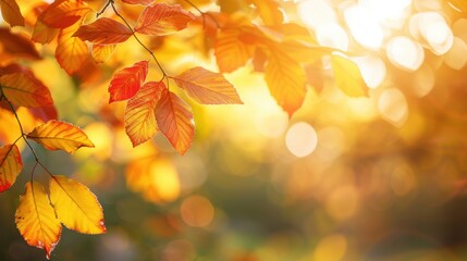 A close-up view of autumn leaves with vibrant orange and yellow hues, illuminated by warm sunlight. - Powered by Adobe