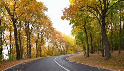 Herbst strasse Laub auf den B&auml;ume Herbst sesson, Waldstrasse im Herbst