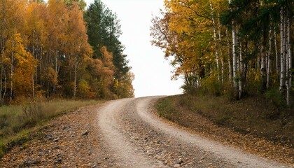 Fototapeta premium Herbst strasse Laub auf den Bäume Herbst sesson, Waldstrasse im Herbst