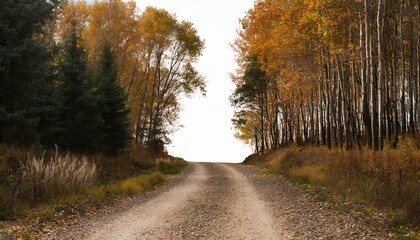 Fototapeta premium Herbst strasse Laub auf den Bäume Herbst sesson, Waldstrasse im Herbst