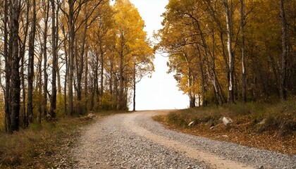 Obraz premium Herbst strasse Laub auf den Bäume Herbst sesson, Waldstrasse im Herbst