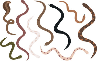 Different colorful vector snakes on white background (cobra and others), nine pieces 