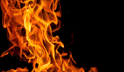 Orange fire flames on a black background