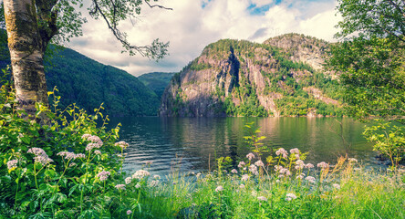 Fototapety na wymiar - Fototapeta24.pl