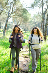 Two women with backpacks walking in a forest, doing trekking or hiking. Scene is peaceful and serene, as the women are surrounded by nature and the trees