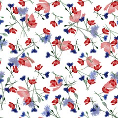 Hand drawn watercolor seamless floral pattern set with  wildflowers red blue flowers and leaves a white  background. 