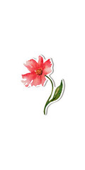 Sticker of watercolor isolated red sign flower with leaves, hand drawn on a white transparent background.