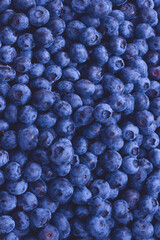 Fresh blueberry background. Texture blueberry berries close up.