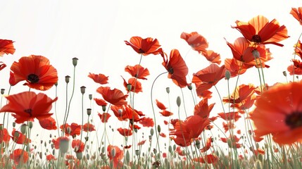Red poppies in a blooming field. Vibrant red flowers stretch across a bright meadow. Perfect for nature-themed designs. Can be used for backgrounds, cards, and posters. AI