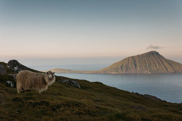 Obraz premium Faroe island beautiful landscape in summer time with sun